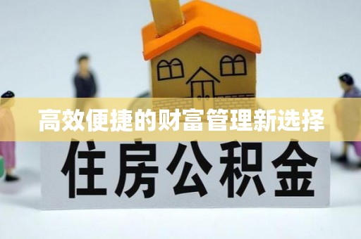 渭南高效便捷的财富管理新选择